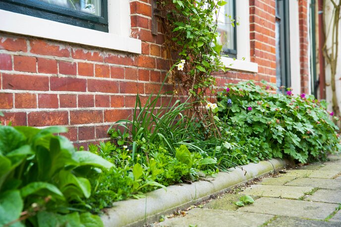 Biodiversiteit in de bebouwde omgeving