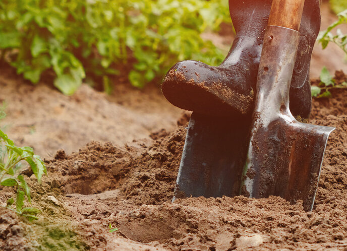 Gebiedsgerichte samenwerking