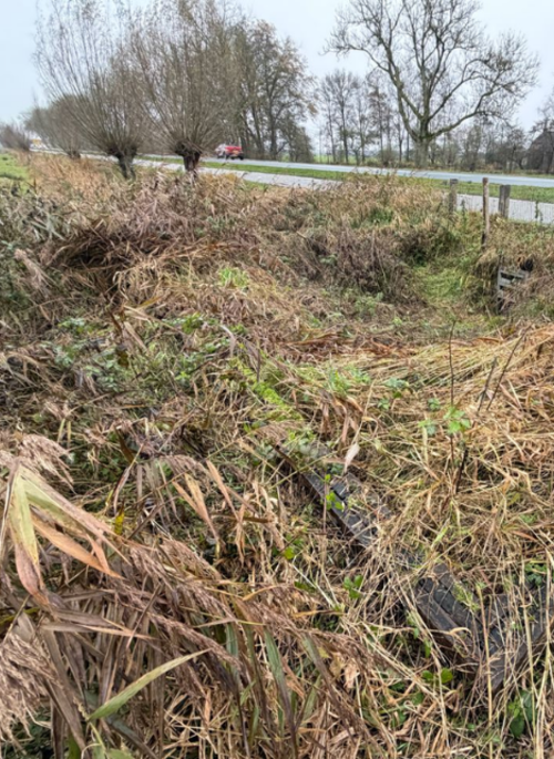 Foto: Johann Prescher