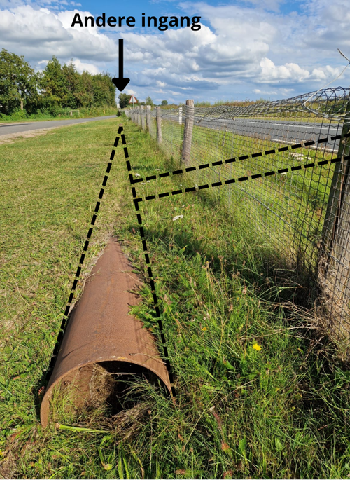 Foto: Luuk Zwartenkot