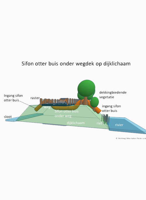 Afbeelding: Stichting Otterstation Nederland.