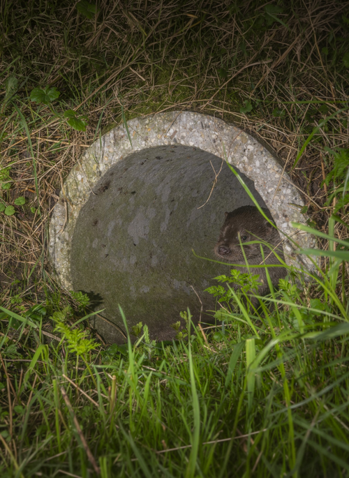 Foto: Johann Prescher