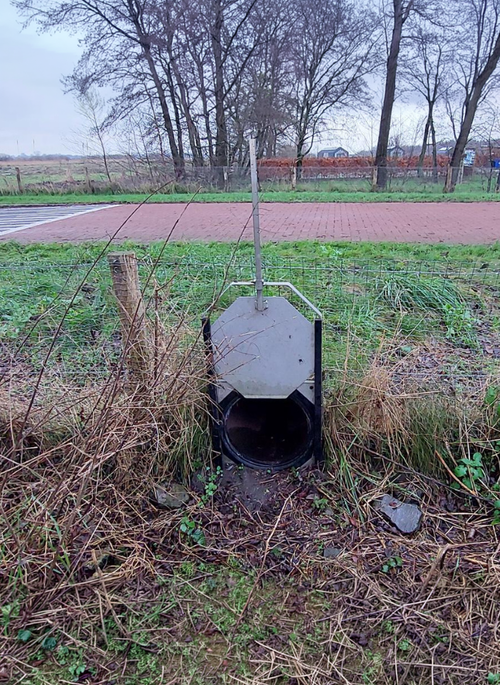 Foto: Robbert Schepers