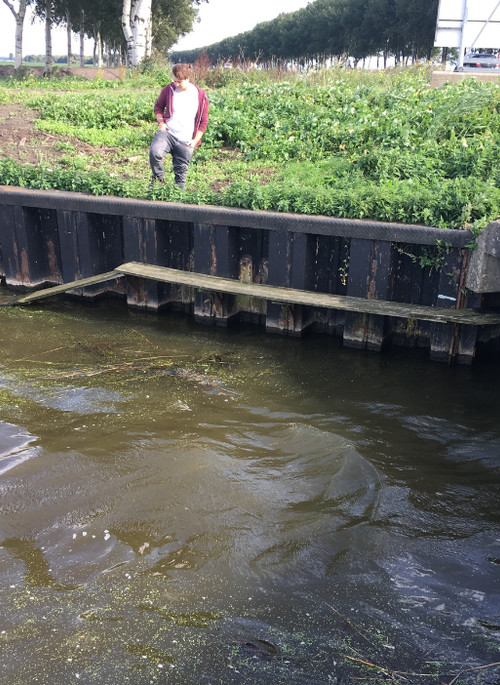 Foto: Jeroen Reinhold