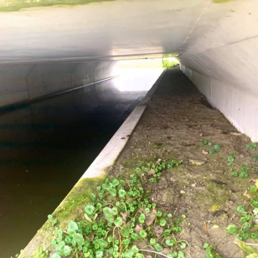 Geïntegreerde betonnen looprichel. Foto: Hans Blom