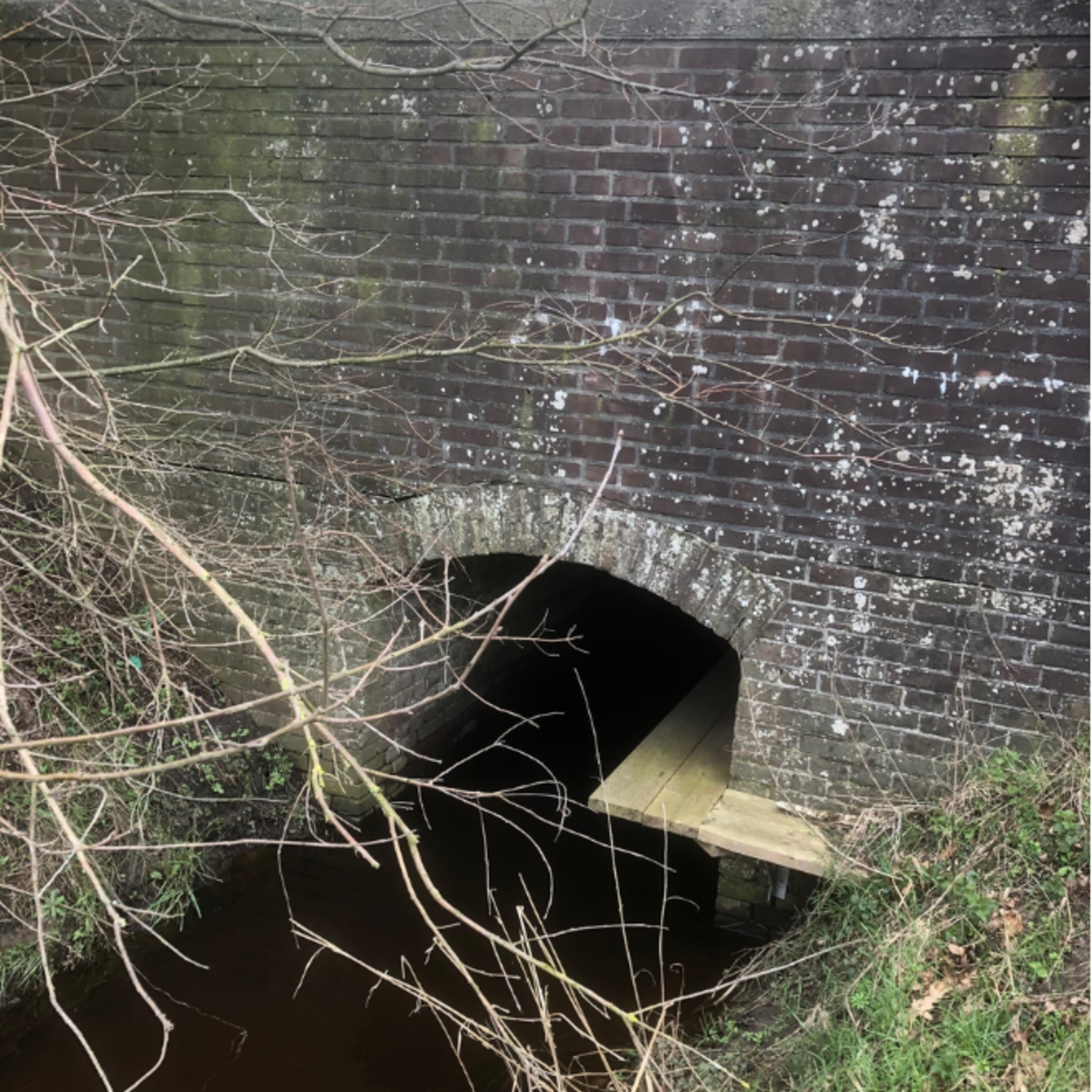 Looprichel voor otters | Deltaplan Biodiversiteitsherstel