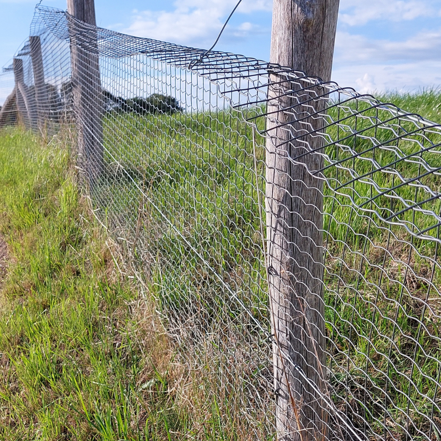 Foto: Robbert Schepers