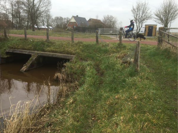  Foto: Harrie Bosma