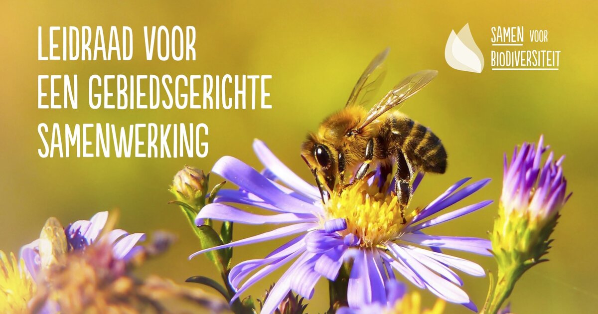Vernieuwde ‘Leidraad voor een gebiedsgerichte aanpak’ beschikbaar