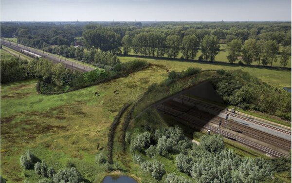 Edelherten over het spoor