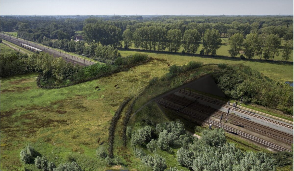 Edelherten over het spoor