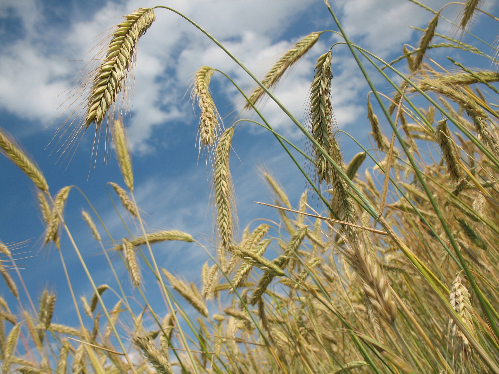 Red de biodiversiteit, zeggen nu ook banken en beleggers