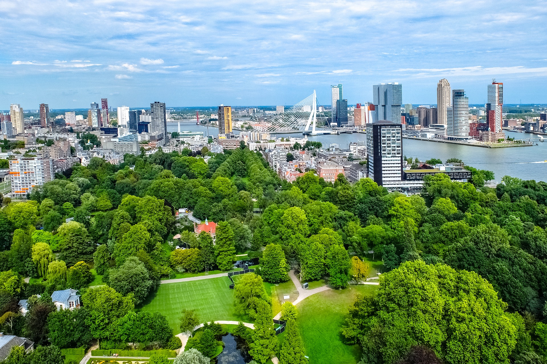 Biodiversiteit hoger op de agenda in financiële sector