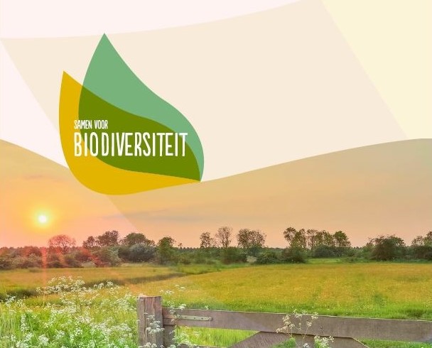 Deltaplan publiceert leidraad voor gebiedsgerichte aanpak biodiversiteitsherstel