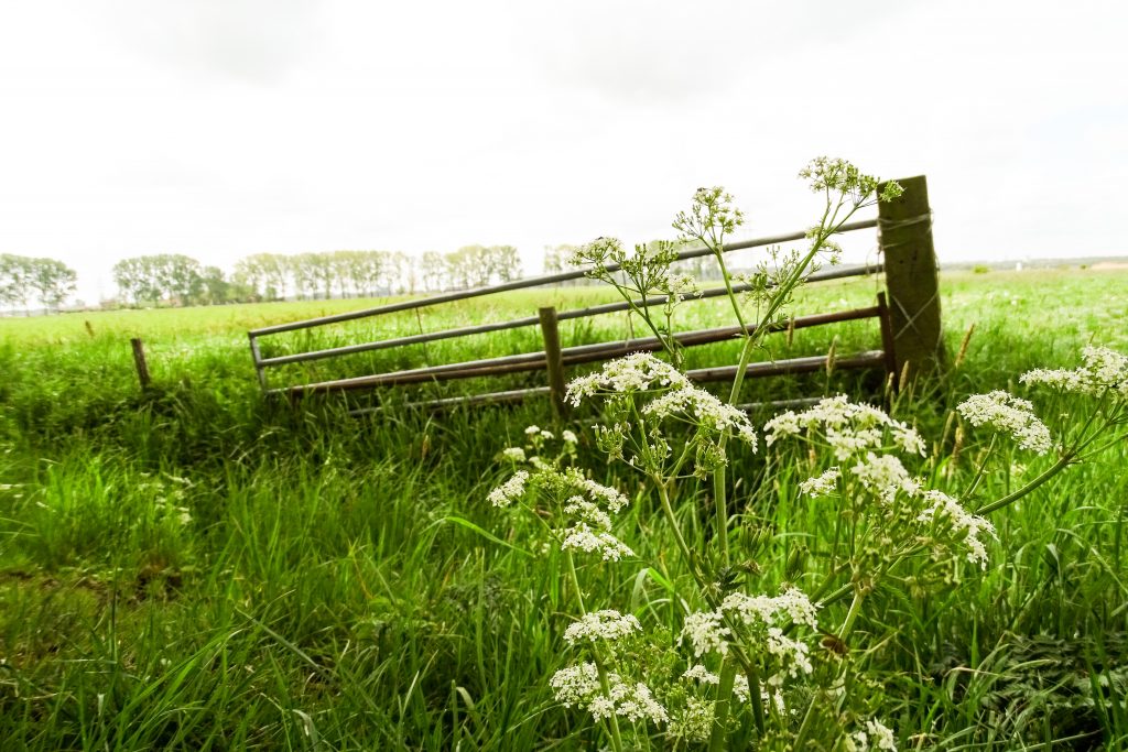 Ontwikkeling biodiversiteitsmonitor akkerbouw van start