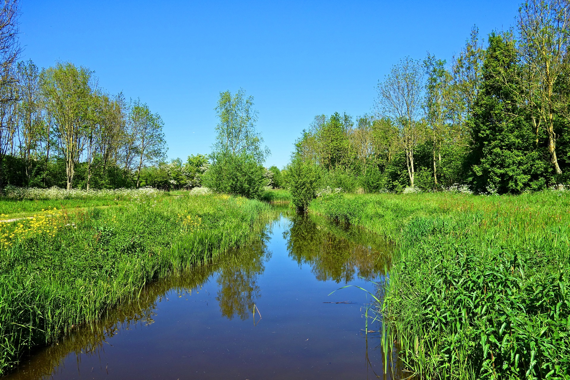 Waterschappen gaan samen biodiversiteit versterken