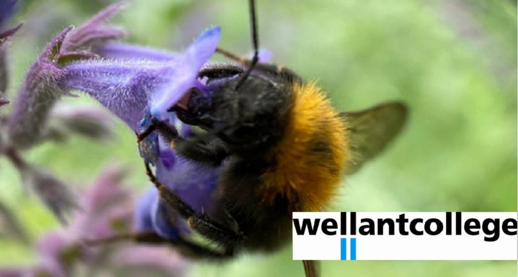 Nieuw: masterclass biodiversiteit aan het Wellantcollege
